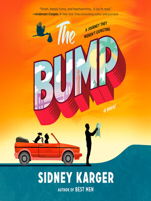 cover image of The Bump